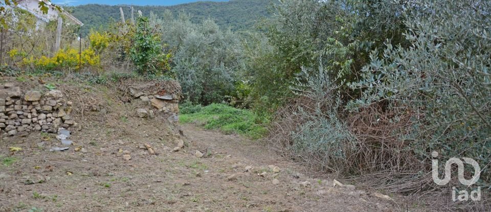 Land of 810 m² in Villanova d'Albenga (17038)