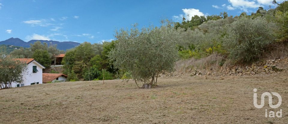 Land of 810 m² in Villanova d'Albenga (17038)