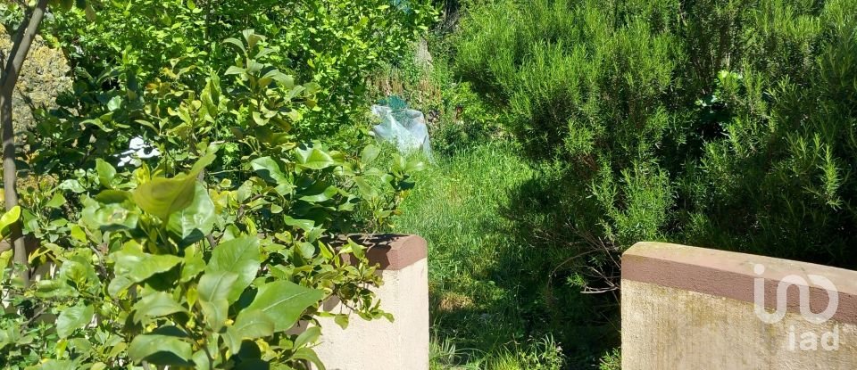 Villa Bifamiliare 5 locali di 158 m² a Savona (17100)