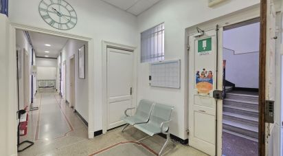 Varie superfici 13 locali di 449 m² a Savona (17100)