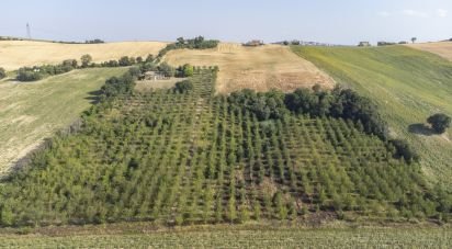 House 8 rooms of 400 m² in Filottrano (60024)