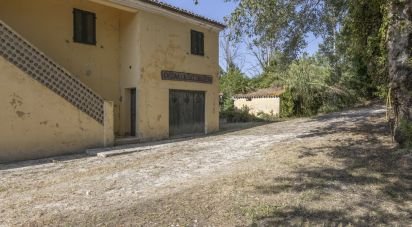 House 8 rooms of 400 m² in Filottrano (60024)