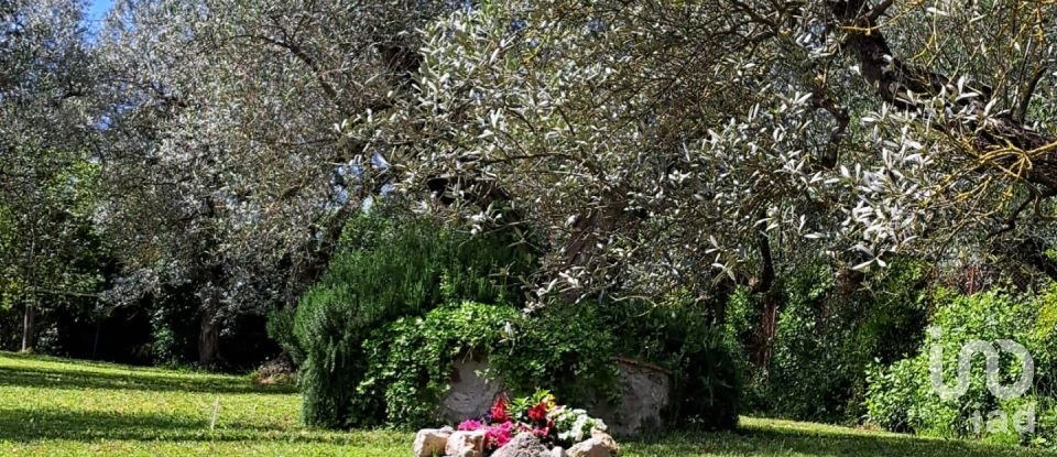 Casa indipendente / Villa 3 locali di 135 m² in Firenze (50139)