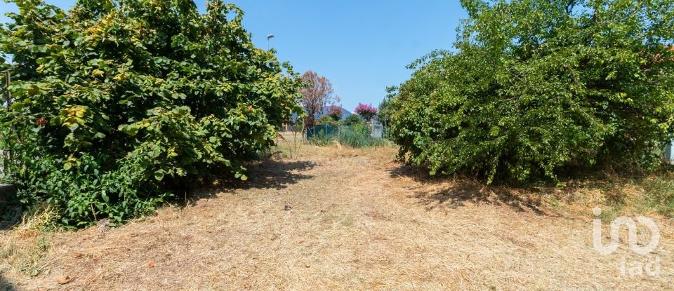 Appartamento 7 locali di 131 m² a Piossasco (10045)