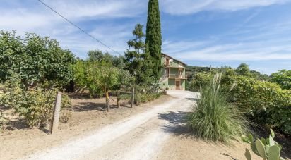 Casa indipendente 6 locali di 290 m² in Campofilone (63828)