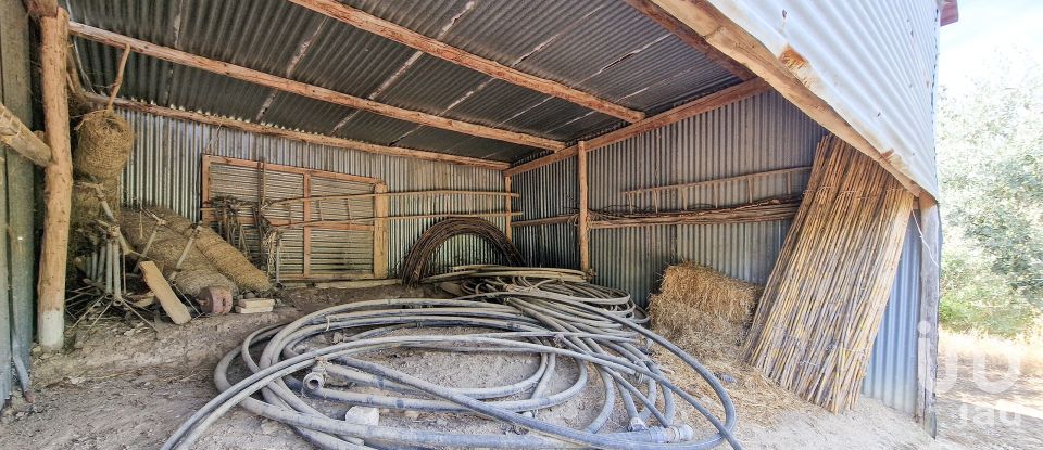 Casa indipendente 6 locali di 290 m² in Campofilone (63828)