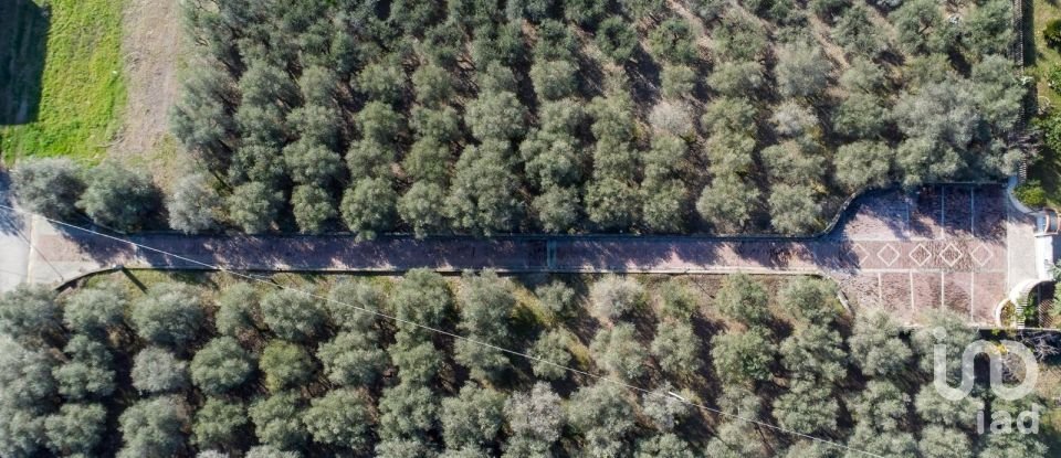 Casale 19 locali di 485 m² in Morro d'Oro (64020)