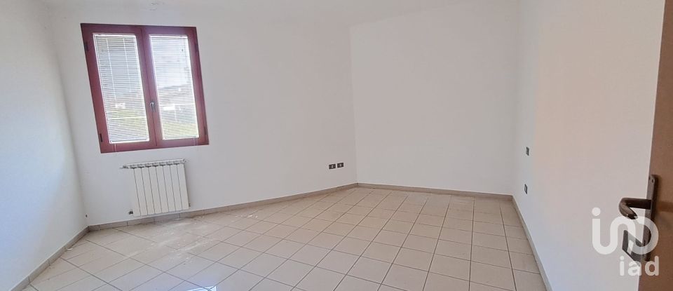 Negozio / locale commerciale di 65 m² in Polesella (45038)