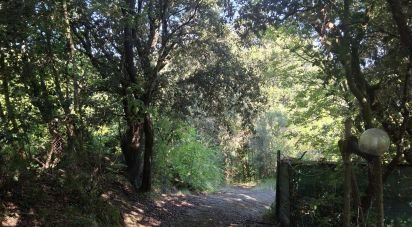 Casa indipendente / Villa 2 locali di 72 m² in Finale Ligure (17024)