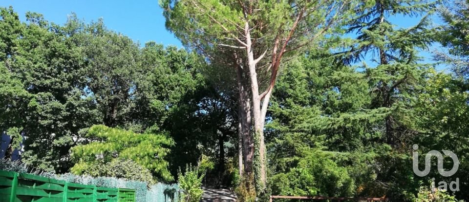 Farm 14 rooms of 330 m² in Cerreto d'Esi (60043)