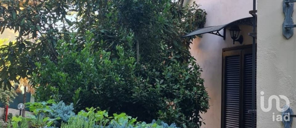 Farm 14 rooms of 330 m² in Cerreto d'Esi (60043)