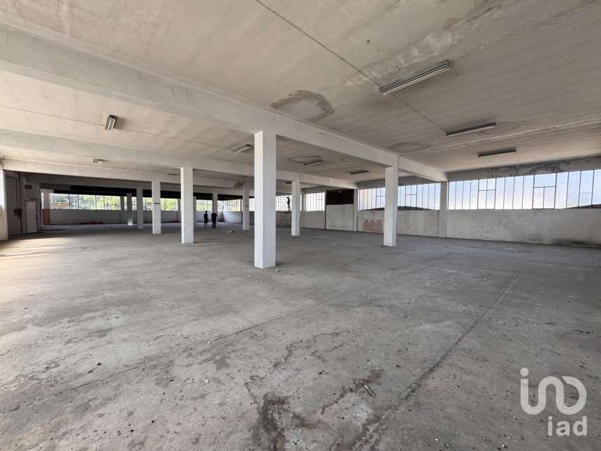 Capannone di 1.300 m² in Pesaro (61122)