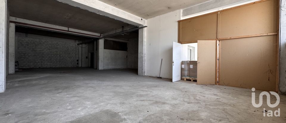 Capannone di 1.300 m² in Pesaro (61122)