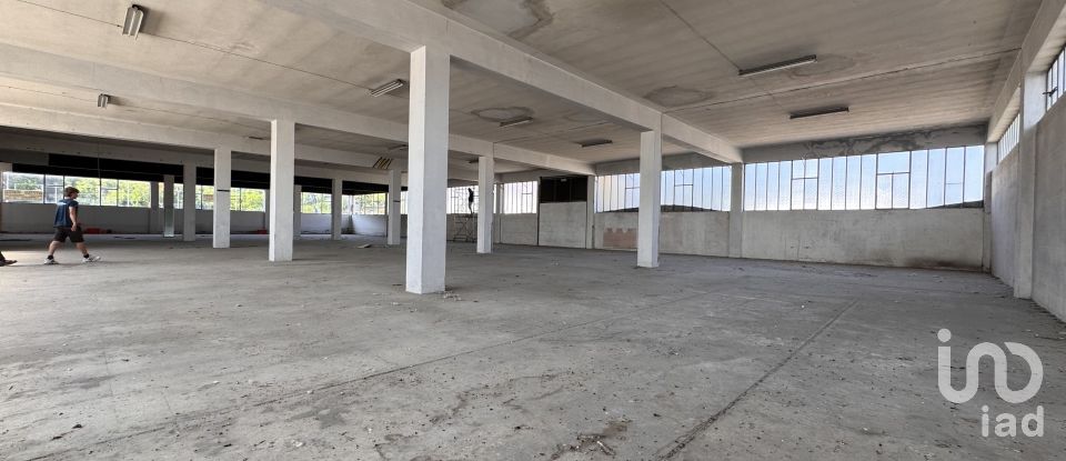 Capannone di 1.300 m² in Pesaro (61122)