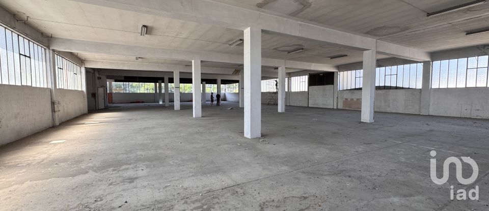 Capannone di 1.300 m² in Pesaro (61122)