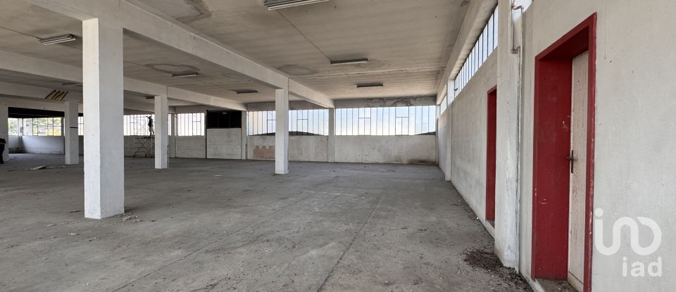 Capannone di 1.300 m² in Pesaro (61122)