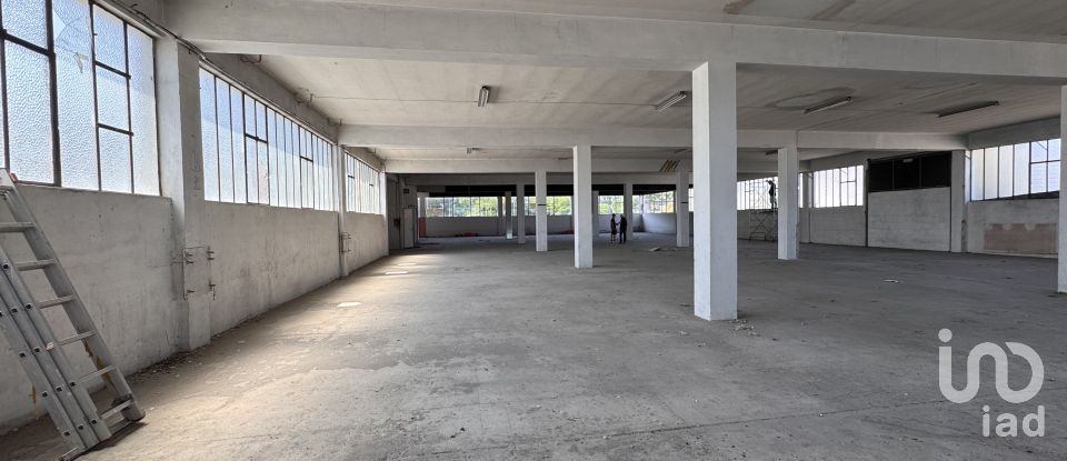 Capannone di 1.300 m² in Pesaro (61122)