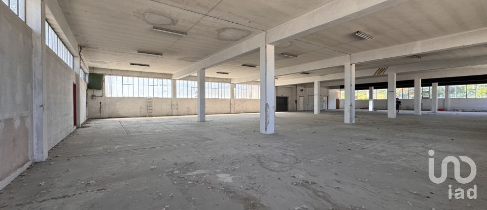 Capannone di 1.300 m² in Pesaro (61122)