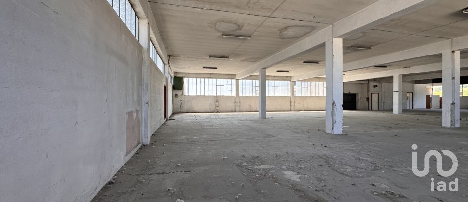 Capannone di 1.300 m² in Pesaro (61122)