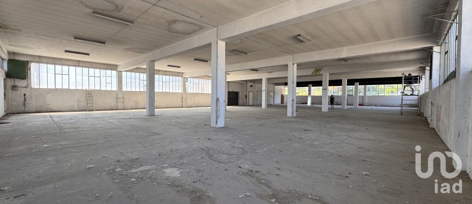 Capannone di 1.300 m² in Pesaro (61122)