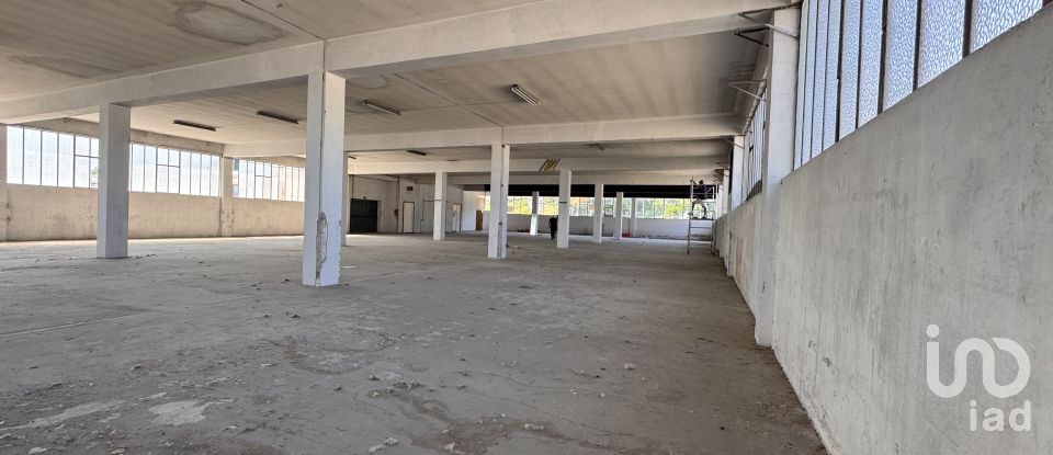 Capannone di 1.300 m² in Pesaro (61122)