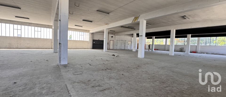 Capannone di 1.300 m² in Pesaro (61122)