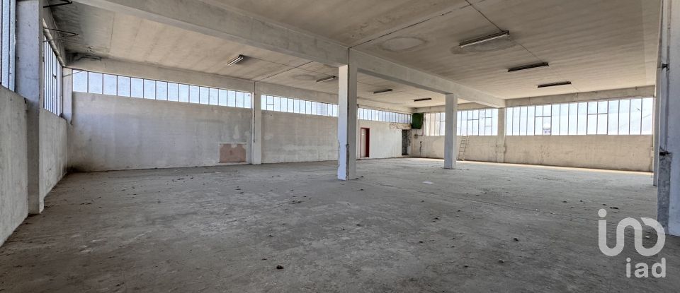 Capannone di 1.300 m² in Pesaro (61122)