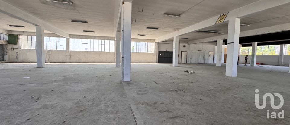 Capannone di 1.300 m² in Pesaro (61122)