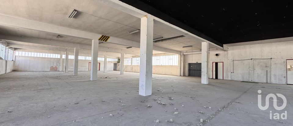 Capannone di 1.300 m² in Pesaro (61122)