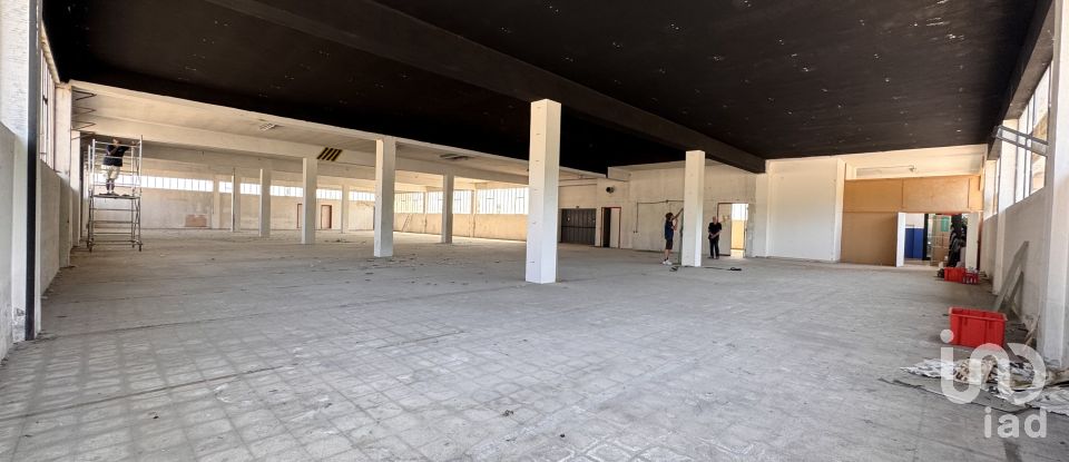 Capannone di 1.300 m² in Pesaro (61122)
