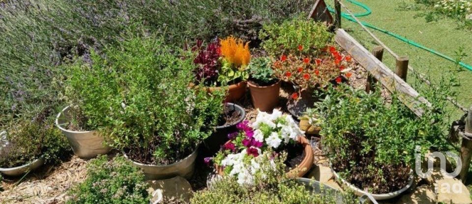 Casa indipendente / Villa 5 locali di 53 m² in Amatrice (02012)