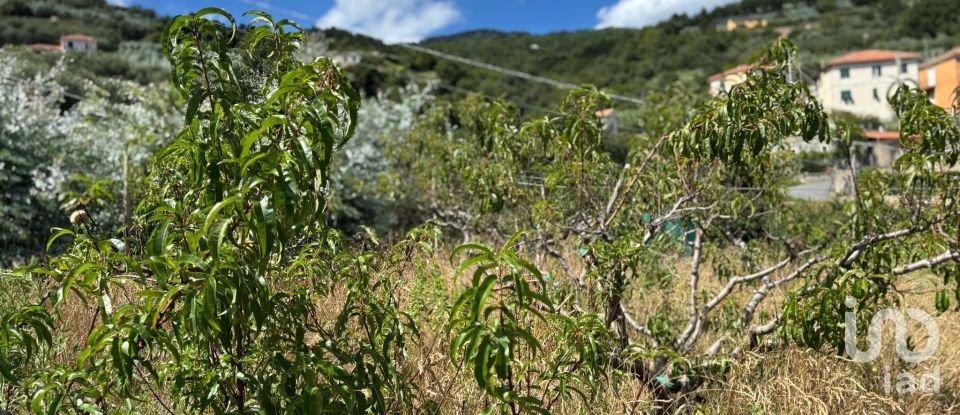 Casa indipendente 15 locali di 170 m² in Magliolo (17020)