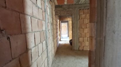 Appartamento 12 locali di 360 m² a Amantea (87032)