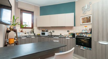 Trilocale di 98 m² a Nichelino (10042)