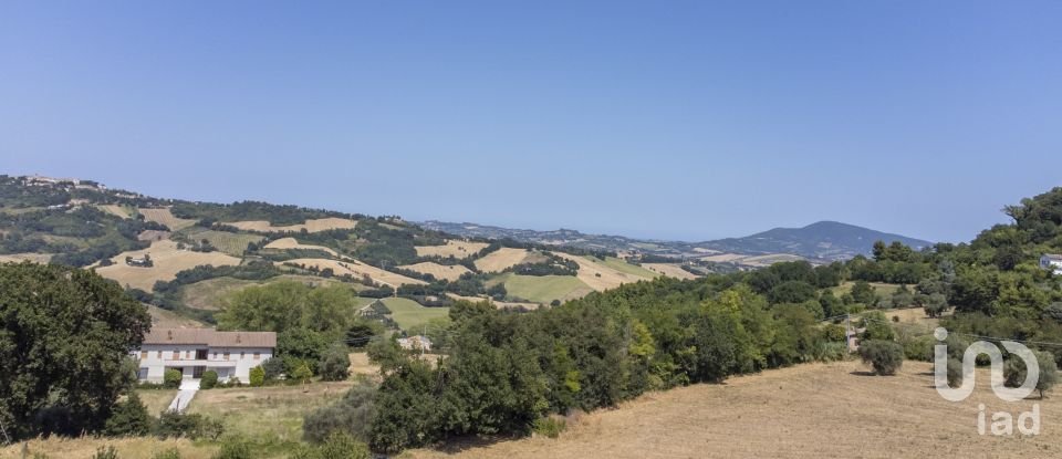 Land of 871 m² in Offagna (60020)