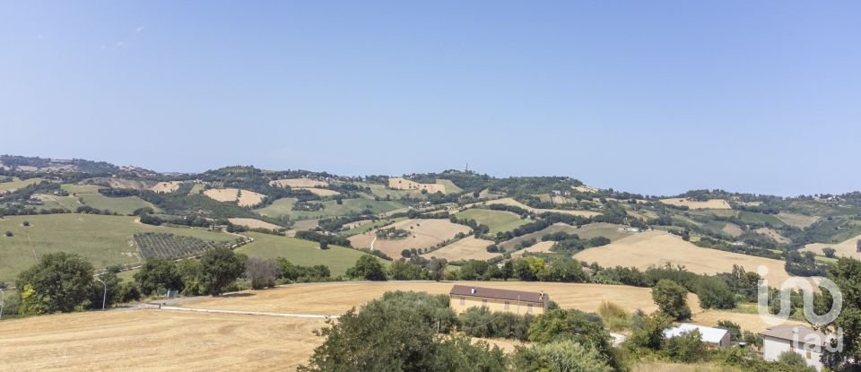 Land of 871 m² in Offagna (60020)