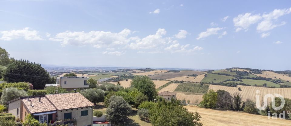 Land of 871 m² in Offagna (60020)