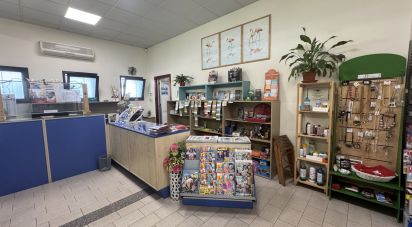 Negozio / locale commerciale di 64 m² in Motta di Livenza (31045)