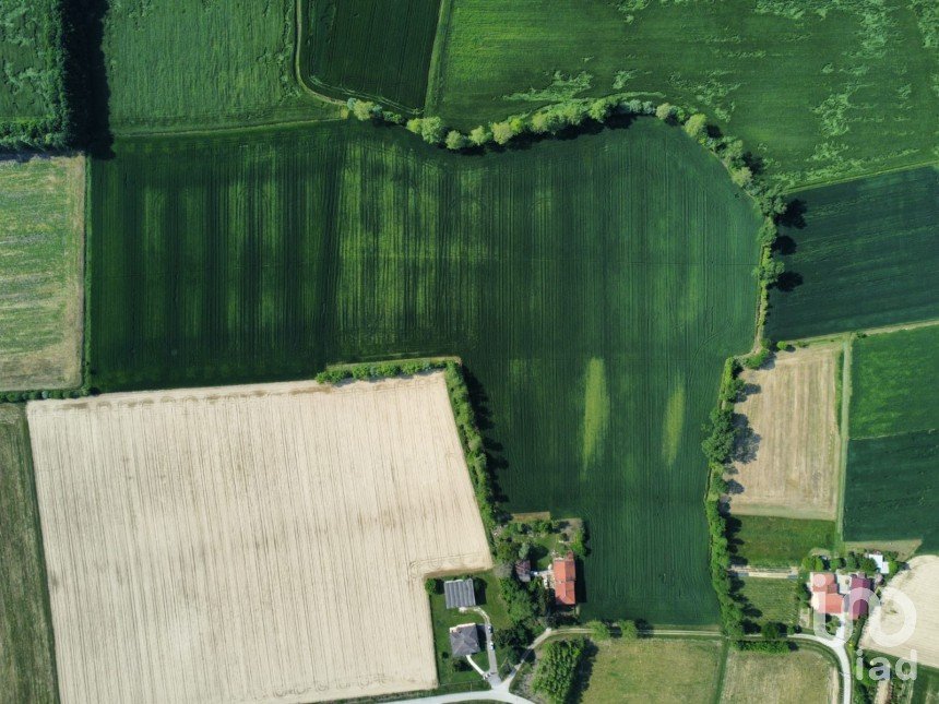 Terreno di 68.122 m² in Grisignano di Zocco (36040)