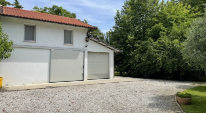 Terreno agricolo di 7.800 m² in Chiarano (31040)