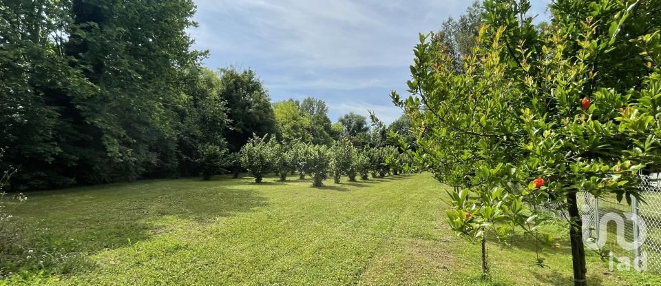 Terreno agricolo di 7.800 m² in Chiarano (31040)