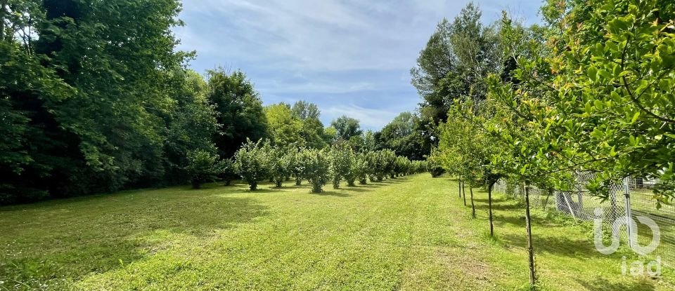 Terreno agricolo di 7.800 m² in Chiarano (31040)