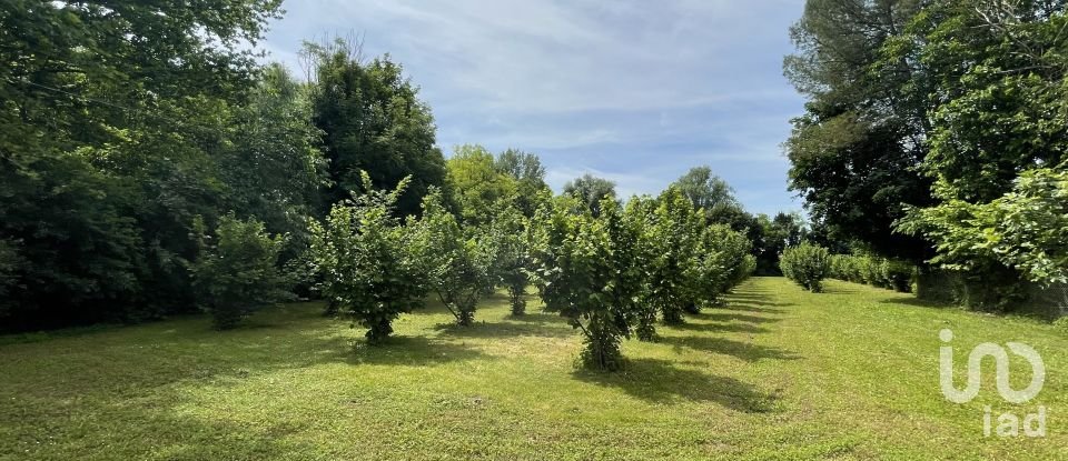Terreno agricolo di 7.800 m² in Chiarano (31040)