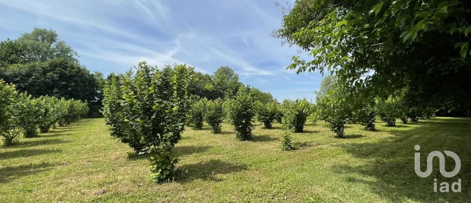 Terreno agricolo di 7.800 m² in Chiarano (31040)