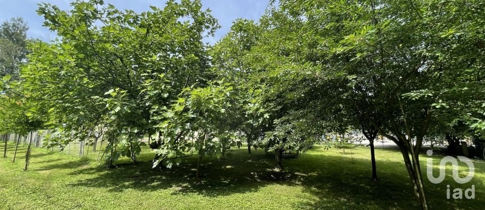 Terreno agricolo di 7.800 m² in Chiarano (31040)