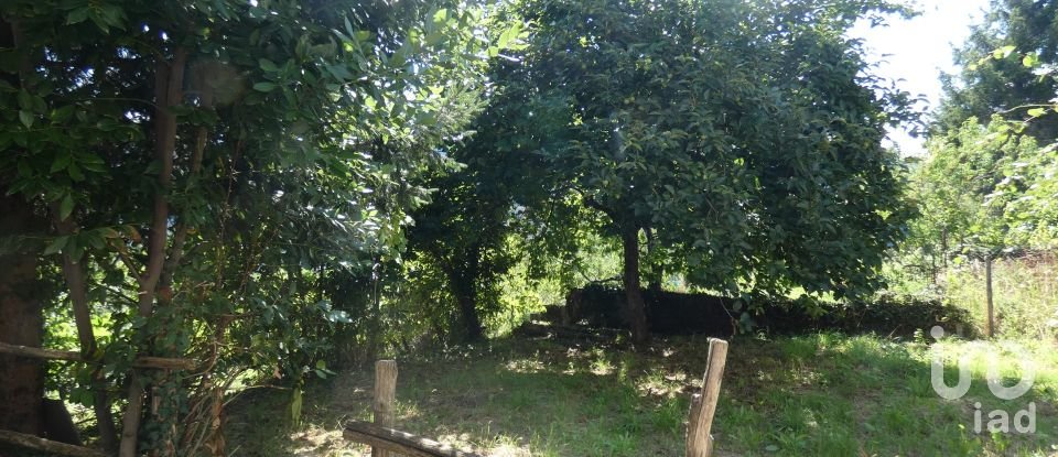 Apartment 5 rooms of 60 m² in Carro (19012)