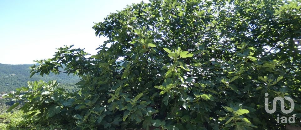 Apartment 5 rooms of 60 m² in Carro (19012)