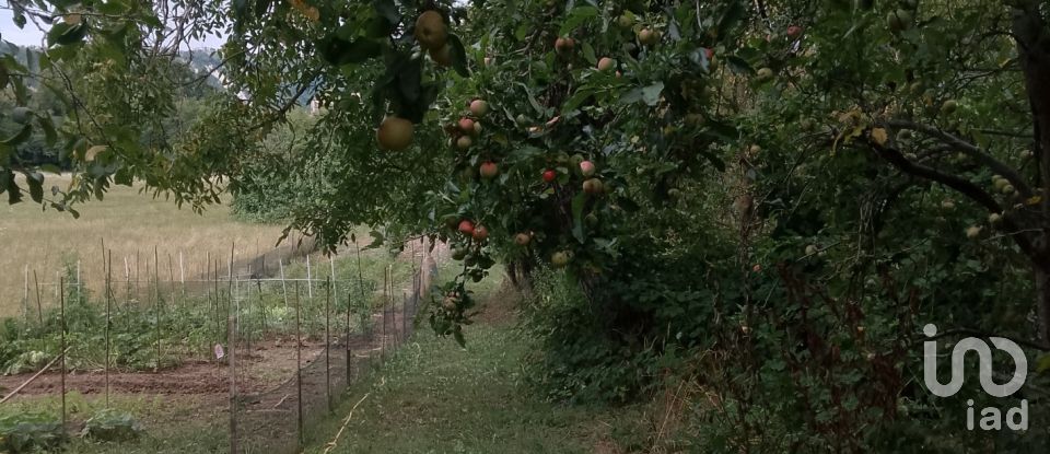 Casa indipendente / Villa 12 locali di 250 m² in Niella Tanaro (12060)