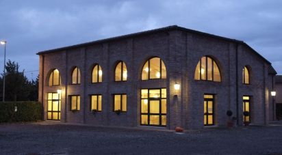 Casa indipendente / Villa 9 locali di 1.000 m² in Migliarino (44027)