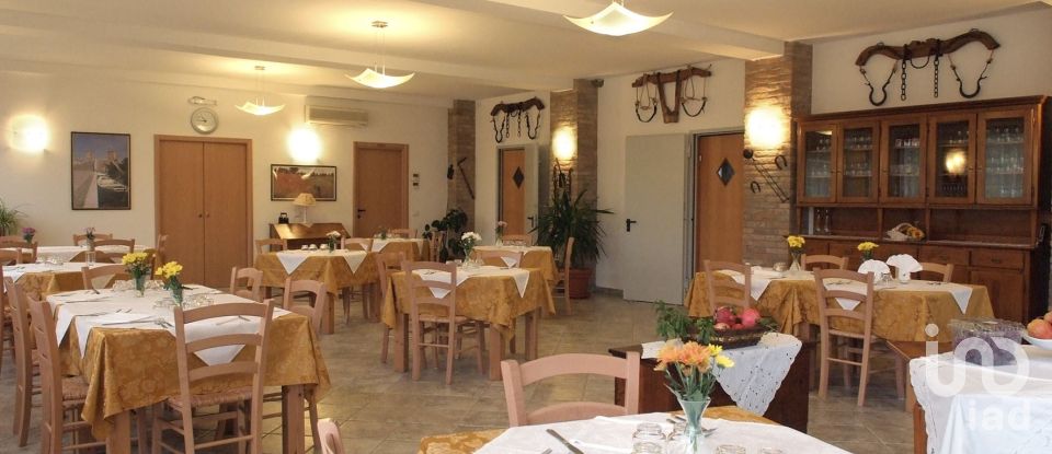 Casa indipendente / Villa 9 locali di 1.000 m² in Migliarino (44027)